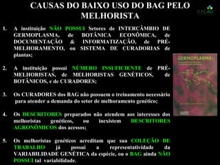 1.1. A instituiçãoA instituição NÃO POSSUINÃO POSSUI Setores de INTERCÂMBIO DESetores de INTERCÂMBIO DE
GERMOPLASMA, de BOTÂNICA ECONÔMICA, deGERMOPLASMA, de BOTÂNICA ECONÔMICA, de
DOCUMENTAÇÃO & INFORMATIZAÇÃO, de PRÉ-DOCUMENTAÇÃO & INFORMATIZAÇÃO, de PRÉ-
MELHORAMENTO, ou SISTEMA DE CURADORIAS deMELHORAMENTO, ou SISTEMA DE CURADORIAS de
plantas;plantas;
2.2. A instituição possuiA instituição possui NÚMERO INSUFICIENTENÚMERO INSUFICIENTE de PRÉ-de PRÉ-
MELHORISTAS, de MELHORISTAS GENÉTICOS, deMELHORISTAS, de MELHORISTAS GENÉTICOS, de
BOTÂNICOS, e de CURADORES;BOTÂNICOS, e de CURADORES;
3.3. Os CURADORES dos BAG não possuem o treinamento necessárioOs CURADORES dos BAG não possuem o treinamento necessário
para atender a demanda do setor de melhoramento genético;para atender a demanda do setor de melhoramento genético;
4.4. OsOs DESCRITORESDESCRITORES preparados não atendem aos interesses dospreparados não atendem aos interesses dos
melhoristas genéticos, ou inexistemmelhoristas genéticos, ou inexistem DESCRITORESDESCRITORES
AGRONÔMICOSAGRONÔMICOS dos acessos;dos acessos;
5.5. Os melhoristas genéticos acreditam que suaOs melhoristas genéticos acreditam que sua COLEÇÃO DECOLEÇÃO DE
TRABALHOTRABALHO já possui a representatividade dajá possui a representatividade da
VARIABILIDADE GENÉTICA da espécie, ou oVARIABILIDADE GENÉTICA da espécie, ou o BAGBAG aindaainda NÃONÃO
POSSUIPOSSUI tal variabilidadetal variabilidade..
CAUSAS DO BAIXO USO DO BAG PELOCAUSAS DO BAIXO USO DO BAG PELO
MELHORISTAMELHORISTA
 