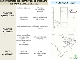 PRINCIPAIS MÉTODOS DE ESTATÍSTICOS DE ORDENAÇÃO
DOS DADOS DA CARACTERIZAÇÃO
VARIÁVEIS
QUANTITATIVAS
 
DISTÂNCIA EUCLIDIANA
 
 
ANÁLISES DE 
COMPONTENTES 
PRINCIPAIS
 
 
DISTÂNCIA DE 
MOHALANOBIS
 
 
ANÁLISES CANÔNICAS DE 
POPULAÇÕES
VARIÁVEIS
QUALITATIVAS
 
ÍNDICES DE SIMILARIDADE
 
 
ANÁLISES DE COORDENDAS 
PRINCIPAIS
 
 
DADOS DE FREQUÊNCIA 
ORGANIZADOS EM 
TABELAS DE 
CONTINGÊNCIA. DISTÂNCIA 
DO 
QUI-QUADRADO
 
 
 
ANÁLISES FATORIAIS DE 
COORDENADAS
AMBAS
AS VARIÁVEIS
 
ÍNDICES DE 
DISSIMILARIDADE
 
ESCALAS 
MULTIDIMENSIONAIS 
(MDS)
 
PARA POPULAÇÕES
 