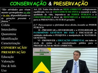 Art. 225.Art. 225. Todos têm direito ao MEIO AMBIENTE ecologicamente
equilibrado, bem de USO COMUM DO POVOUSO COMUM DO POVO e essencial à sadia
qualidade de vida, impondo-se ao PODER PÚBLICO e à
COLETIVIDADECOLETIVIDADE o dever de DEFENDÊ-LODEFENDÊ-LO ee PRESERVÁ-LOPRESERVÁ-LO
para as PRESENTES e FUTURAS gerações.
§ 1º§ 1º Para assegurar a efetividade desse direito, incumbe ao PODERPODER
PÚBLICOPÚBLICO:
IIII - PRESERVARPRESERVAR a DIVERSIDADEDIVERSIDADE e a INTEGRIDADEINTEGRIDADE do
PATRIMÔNIO GENÉTICOPATRIMÔNIO GENÉTICO DO PAÍS e FISCALIZAR as
entidades dedicadas à PESQUISA e manipulação de MATERIAL
GENÉTICO;
VIVI - PROMOVERPROMOVER a EDUCAÇÃO AMBIENTALEDUCAÇÃO AMBIENTAL em todos os
níveis de ensino e a conscientização pública para a
PRESERVAÇÃO do MEIO AMBIENTEPRESERVAÇÃO do MEIO AMBIENTE;
CONSERVAÇÃOCONSERVAÇÃO && PRESERVAÇÃOPRESERVAÇÃO
““São atividades que visamSão atividades que visam
manter germoplasmamanter germoplasma ex situex situ
ee in situin situ, disponibilizando-os, disponibilizando-os
às gerações presente eàs gerações presente e
futura.”futura.”
Coleta
Intercâmbio
Quarentena
Identificação
Caracterização
CONSERVAÇÃO/CONSERVAÇÃO/
PRESERVAÇÃOPRESERVAÇÃO
Educação
Valoração
Doc & Info
Uso
 