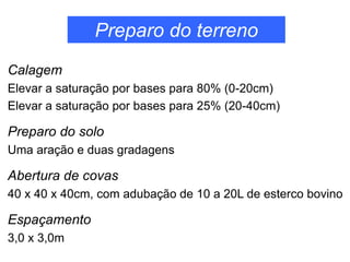 Preparo do terreno
Calagem
Elevar a saturação por bases para 80% (0-20cm)
Elevar a saturação por bases para 25% (20-40cm)
Preparo do solo
Uma aração e duas gradagens
Abertura de covas
40 x 40 x 40cm, com adubação de 10 a 20L de esterco bovino
Espaçamento
3,0 x 3,0m
 