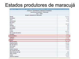 Estados produtores de maracujá
 