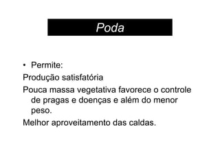 • Permite:
Produção satisfatória
Pouca massa vegetativa favorece o controle
de pragas e doenças e além do menor
peso.
Melhor aproveitamento das caldas.
Poda
 