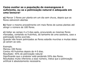 Como avaliar se a população de mamangavas é
suficiente, ou se a polinização natural é adequada em
uma lavoura?
a) Marcar 3 flores por planta em um dia sem chuva, depois que as
flores estiverem abertas
b) Fazer o mesmo procedimento em mais flores de outras plantas até
atingir o número de 100 flores.
c) Voltar ao campo 4 a 5 dias após, procurando as mesmas flores
marcadas, contando os frutinhos, do tamanho de uma azeitona, caso a
polinização tenha ocorrido.
Quando não foram polinizados as flores estarão murchas e muitas delas
já caíram ao solo.
Exemplo.
Marcou 100 flores
Contou 45 frutinhos depois de 4-5 dias.
Resultado: 45% de polinização natural
Significando que o produtor está perdendo 55% das flores.
Resultados muito inferiores a esse número, indica que a polinização
artificial é absolutamente necessária.
 