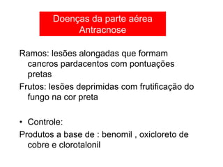 Ramos: lesões alongadas que formam
cancros pardacentos com pontuações
pretas
Frutos: lesões deprimidas com frutificação do
fungo na cor preta
• Controle:
Produtos a base de : benomil , oxicloreto de
cobre e clorotalonil
Doenças da parte aérea
Antracnose
 