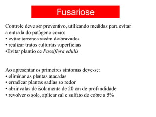 Controle deve ser preventivo, utilizando medidas para evitar
a entrada do patógeno como:
• evitar terrenos recém desbravados
• realizar tratos culturais superficiais
•Evitar plantio de Passiflora edulis
Ao apresentar os primeiros sintomas deve-se:
• eliminar as plantas atacadas
• erradicar plantas sadias ao redor
• abrir valas de isolamento de 20 cm de profundidade
• revolver o solo, aplicar cal e sulfato de cobre a 5%
Fusariose
 