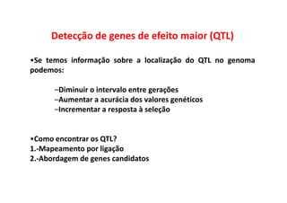 Detecção de genes de efeito maior (QTL)
•Se temos informação sobre a localização do QTL no genoma
podemos:
–Diminuir o intervalo entre gerações
–Aumentar a acurácia dos valores genéticos–Aumentar a acurácia dos valores genéticos
–Incrementar a resposta à seleção
•Como encontrar os QTL?
1.-Mapeamento por ligação
2.-Abordagem de genes candidatos
 