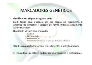 MARCADORES GENÉTICOS
• Identificar ou etiquetar alguma coisa
• 1923: feijão com ausência de cor escura no tegumento x
tamanho do semente : seleção de forma indireta (tegumento
claro = marcador
• Qualidade de um bom marcadorQualidade de um bom marcador
» Herdável
» Fácil observação
» Herdabilidade alta
» Intimamente relacionado ao alelo que desejamos selecionar
• OBS: Essas qualidades tornam mas eficientes a seleção indireta
• Os marcadores genéticos podem ser morfológicos e moleculares.
 