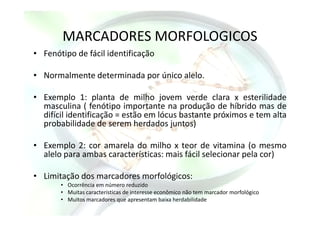 MARCADORES MORFOLOGICOS
• Fenótipo de fácil identificação
• Normalmente determinada por único alelo.
• Exemplo 1: planta de milho jovem verde clara x esterilidade
masculina ( fenótipo importante na produção de híbrido mas de
difícil identificação = estão em lócus bastante próximos e tem altadifícil identificação = estão em lócus bastante próximos e tem alta
probabilidade de serem herdados juntos)
• Exemplo 2: cor amarela do milho x teor de vitamina (o mesmo
alelo para ambas características: mais fácil selecionar pela cor)
• Limitação dos marcadores morfológicos:
• Ocorrência em número reduzido
• Muitas características de interesse econômico não tem marcador morfológico
• Muitos marcadores que apresentam baixa herdabilidade
 