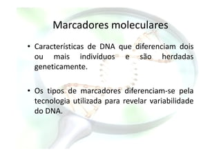 Marcadores moleculares
• Características de DNA que diferenciam dois
ou mais indivíduos e são herdadas
geneticamente.
• Os tipos de marcadores diferenciam-se pela
tecnologia utilizada para revelar variabilidade
do DNA.
 