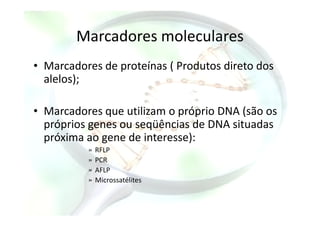Marcadores moleculares
• Marcadores de proteínas ( Produtos direto dos
alelos);
• Marcadores que utilizam o próprio DNA (são os• Marcadores que utilizam o próprio DNA (são os
próprios genes ou seqüências de DNA situadas
próxima ao gene de interesse):
» RFLP
» PCR
» AFLP
» Microssatélites
 