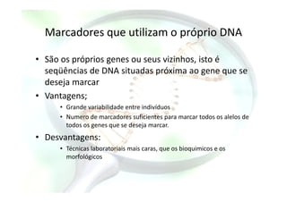 Marcadores que utilizam o próprio DNA
• São os próprios genes ou seus vizinhos, isto é
seqüências de DNA situadas próxima ao gene que se
deseja marcar
• Vantagens;Vantagens;
• Grande variabilidade entre indivíduos
• Numero de marcadores suficientes para marcar todos os alelos de
todos os genes que se deseja marcar.
• Desvantagens:
• Técnicas laboratoriais mais caras, que os bioquimicos e os
morfológicos
 