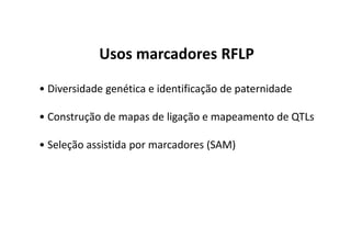 Usos marcadores RFLP
• Diversidade genética e identificação de paternidade
• Construção de mapas de ligação e mapeamento de QTLs
• Seleção assistida por marcadores (SAM)
 