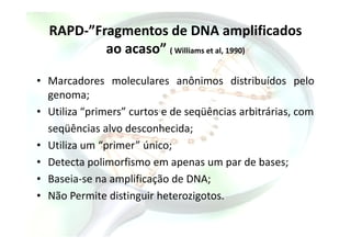 RAPD-”Fragmentos de DNA amplificados
ao acaso” ( Williams et al, 1990)
• Marcadores moleculares anônimos distribuídos pelo
genoma;
• Utiliza “primers” curtos e de seqüências arbitrárias, com
seqüências alvo desconhecida;seqüências alvo desconhecida;
• Utiliza um “primer” único;
• Detecta polimorfismo em apenas um par de bases;
• Baseia-se na amplificação de DNA;
• Não Permite distinguir heterozigotos.
 
