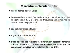 Marcador molecular – SNP
Polimorfismos de base única
Correspondem a posições onde existe uma alternância dos
nucleotídeos A, C, G e T, em uma freqüência alélica mínima de
1% em uma dada população
São polimorfismos estáveis
A grande maioria é neutra
Duas pessoas não relacionadas diferem em aproximadamente
1 base a cada 1000. Do total de 3 bilhões de bases em seu
genoma um indivíduo carregaria 3 milhões de SNPs.
 