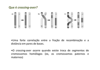Que é crossing-over?
•Uma forte correlação entre a fração de recombinação e a
distância em pares de bases.
•O crossing-over ocorre quando existe troca de segmentos de
cromossomos homólogos (ex, os cromossomos paternos e
maternos)
 