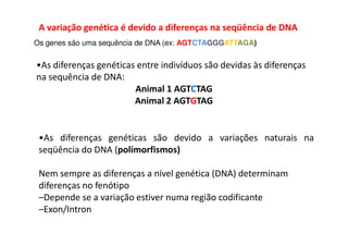 A variação genética é devido a diferenças na seqüência de DNA
Os genes são uma sequência de DNA (ex: AGTCTAGGGATTAGA)
•As diferenças genéticas entre indivíduos são devidas às diferenças
na sequência de DNA:
Animal 1 AGTCTAG
Animal 2 AGTGTAG
•As diferenças genéticas são devido a variações naturais na
seqüência do DNA (polimorfismos)
Nem sempre as diferenças a nível genética (DNA) determinam
diferenças no fenótipo
–Depende se a variação estiver numa região codificante
–Exon/Intron
 