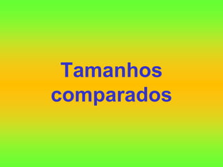 Tamanhos
comparados
 