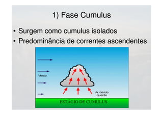 2) Fase de maturidade2) Fase de maturidade
 