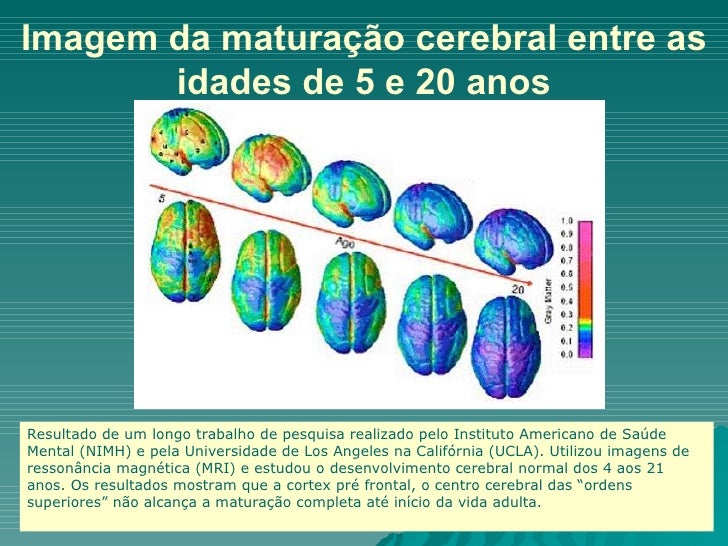 As Características Essenciais Da Maturação São Exceto