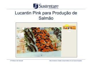 Lucantin Pink para Produção de
                     Salmão

                                                              food




© Professor Vitor Seravalli   Meio Ambiente e Gestão Comprometida com as Futuras Gerações
 