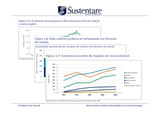 © Professor Vitor Seravalli   Meio Ambiente e Gestão Comprometida com as Futuras Gerações
 