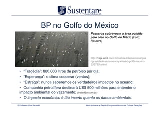 BP no Golfo do México
                                               Pássaros sobrevoam a área poluída
                                               pelo óleo no Golfo do Méxic (Foto:
                                               Reuters)




                                               http://veja.abril.com.br/noticia/internacional/qua
                                               l-gravidade-vazamento-petroleo-golfo-mexico-
                                               555755.shtml

  • “Tragédia”: 800.000 litros de petróleo por dia;
  • “Esperança”: o clima cooperar (ventos);
  • “Estrago”: nunca saberemos os verdadeiros impactos no oceano;
  • Companhia petrolífera destinará US$ 500 milhões para entender o
  impacto ambiental do vazamento; (estadão.com.br)
  • O impacto econômico é tão incerto quanto os danos ambientais.
© Professor Vitor Seravalli               Meio Ambiente e Gestão Comprometida com as Futuras Gerações
 