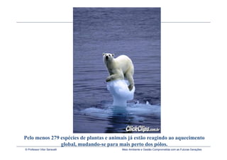 Pelo menos 279 espécies de plantas e animais já estão reagindo ao aquecimento
               global, mudando-se para mais perto dos pólos.
© Professor Vitor Seravalli              Meio Ambiente e Gestão Comprometida com as Futuras Gerações
 