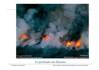 As queimadas nas florestas.
© Professor Vitor Seravalli                  Meio Ambiente e Gestão Comprometida com as Futuras Gerações
 