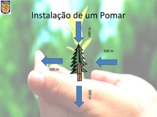 Instalação de um Pomar
500 m
500 m
300 m
300 m