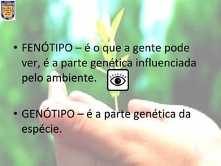 • FENÓTIPO – é o que a gente pode
ver, é a parte genética influenciada
pelo ambiente.
• GENÓTIPO – é a parte genética da
espécie.