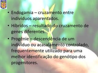 • Endogamia – cruzamento entre
indivíduos aparentados.
• Híbridos – resultado do cruzamento de
genes diferentes.
• Progênie – descendência de um
indivíduo ou acasalamento controlado,
frequentemente utilizado para uma
melhor identificação do genótipo dos
progenitores.