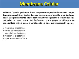 Membrana CelularMembrana Celular
(UERJ-95) Quando ganhamos flores, se quisermos que elas durem mais tempo,
devemos mergulhá-las dentro d’água e cortarmos, em seguida, a ponta da sua
haste. Este procedimento é feito com o objetivo de garantir a continuidade da
condução da seiva bruta. Tal fenômeno ocorre graças à diferença de
osmolaridade entre a planta e o meio onde ela está, que são respectivamente:
a) hipotônica e isotônico.
b) isotônica e hipotônico.
c) hipertônica e isotônico.
d) hipotônica e isotônico.
e) hipertônica e hipotônico.
 