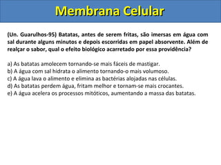 Membrana CelularMembrana Celular
(Un. Guarulhos-95) Batatas, antes de serem fritas, são imersas em água com
sal durante alguns minutos e depois escorridas em papel absorvente. Além de
realçar o sabor, qual o efeito biológico acarretado por essa providência?
a) As batatas amolecem tornando-se mais fáceis de mastigar.
b) A água com sal hidrata o alimento tornando-o mais volumoso.
c) A água lava o alimento e elimina as bactérias alojadas nas células.
d) As batatas perdem água, fritam melhor e tornam-se mais crocantes.
e) A água acelera os processos mitóticos, aumentando a massa das batatas.
 