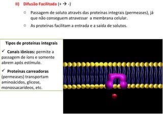II) Difusão Facilitada (+  -)
o Passagem de soluto através das proteínas integrais (permeases), já
que não conseguem atravessar a membrana celular.
o As proteínas facilitam a entrada e a saída de solutos.
Tipos de proteínas integrais
 Canais iônicos: permite a
passagem de íons e somente
abrem após estímulo.
 Proteínas carreadoras
(permeases) transportam
aminoácidos, glicose,
monossacarídeos, etc.
 