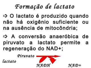 Formação de lactato    O lactato é produzido quando não há oxigênio suficiente ou na ausência de mitocôndria;    A conversão anaeróbica de piruvato a lactato permite a regeneração do NAD+; Piruvato  lactato NADH  NAD+ 