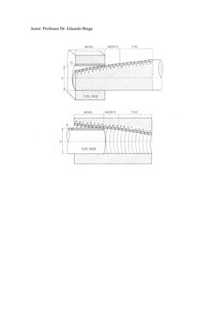 Autor: Professor Dr. Eduardo Braga
 