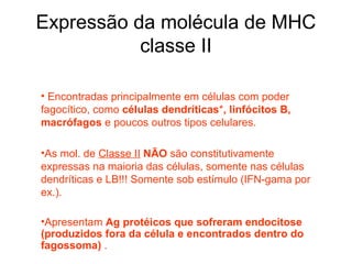 Expressão da molécula de MHC
classe II
• Encontradas principalmente em células com poder
fagocítico, como células dendríticas*, linfócitos B,
macrófagos e poucos outros tipos celulares.
•As mol. de Classe II NÃO são constitutivamente
expressas na maioria das células, somente nas células
dendríticas e LB!!! Somente sob estímulo (IFN-gama por
ex.).
•Apresentam Ag protéicos que sofreram endocitose
(produzidos fora da célula e encontrados dentro do
fagossoma) .

 