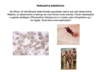 PERGUNTA EXERCÍCIO:
Na África, foi identificada determinada população nativa que não desenvolvia
Malária, ou desenvolvia a doença de uma forma muito branda. Foram detectados
o agente etiológico (Plasmodium falciparum) e o inseto vetor (Anopheles sp.)
na região. Qual seria uma explicação?

 