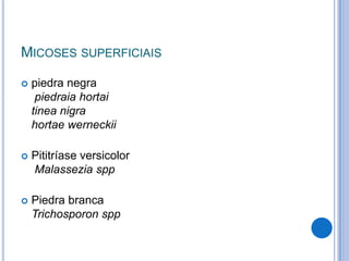 MICOSES SUPERFICIAIS
 piedra negra
piedraia hortai
tinea nigra
hortae werneckii
 Pititríase versicolor
Malassezia spp
 Piedra branca
Trichosporon spp
 