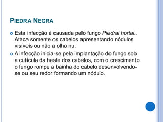 PIEDRA NEGRA
 Esta infecção é causada pelo fungo Piedrai hortai..
Ataca somente os cabelos apresentando nódulos
visíveis ou não a olho nu.
 A infecção inicia-se pela implantação do fungo sob
a cutícula da haste dos cabelos, com o crescimento
o fungo rompe a bainha do cabelo desenvolvendo-
se ou seu redor formando um nódulo.
 