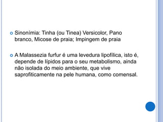  Sinonímia: Tinha (ou Tinea) Versicolor, Pano
branco, Micose de praia; Impingem de praia
 A Malassezia furfur é uma levedura lipofílica, isto é,
depende de lípidos para o seu metabolismo, ainda
não isolada do meio ambiente, que vive
saprofiticamente na pele humana, como comensal.
 
