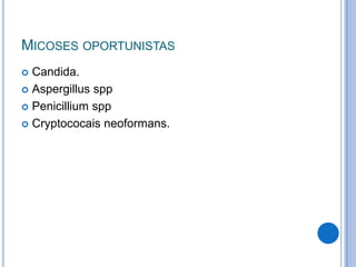 MICOSES OPORTUNISTAS
 Candida.
 Aspergillus spp
 Penicillium spp
 Cryptococais neoformans.
 