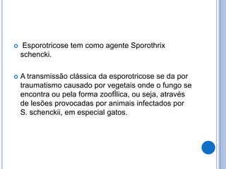  Esporotricose tem como agente Sporothrix
schencki.
 A transmissão clássica da esporotricose se da por
traumatismo causado por vegetais onde o fungo se
encontra ou pela forma zoofÌlica, ou seja, através
de lesões provocadas por animais infectados por
S. schenckii, em especial gatos.
 