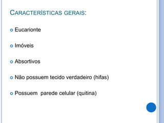 Aula micologia basica.pdf