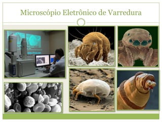 Microscópio Eletrônico de Varredura
 