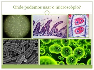 Onde podemos usar o microscópio?
 
