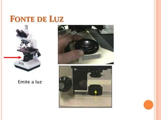 FONTE DE LUZ
Emite a luz
 