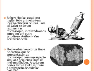  Robert Hooke, estudioso
inglês, foi o primeiro (em
1665) a observar células. Para
tal valeu-se de um
rudimentar
microscópio, idealizado anos
antes por um outro
estudioso, Anthony Van
Leeuwenhoeck.
 Hooke observou cortes finos
de cortiça, que se
apresentavam ao
microscópio com um aspecto
similar a pequenos favos de
mel empilhados. A cada um
destes favos Hooke atribuiu
a designação de cellulae
 
