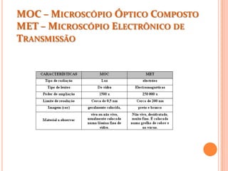 MOC – MICROSCÓPIO ÓPTICO COMPOSTO
MET – MICROSCÓPIO ELECTRÔNICO DE
TRANSMISSÃO
 