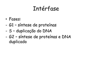 Intérfase
•   Fases:
-   G1 – síntese de proteínas
-   S – duplicação do DNA
-   G2 – síntese de proteínas e DNA
    duplicado
 